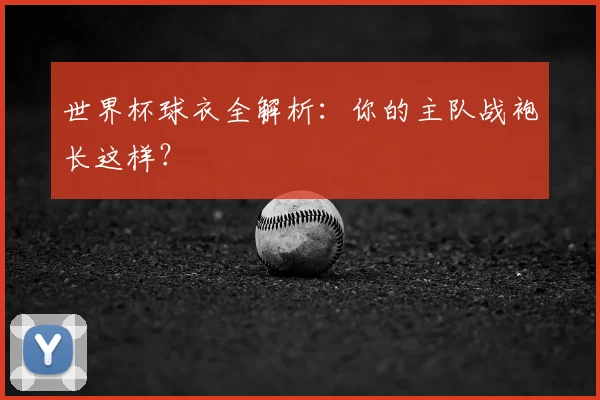 世界杯球衣全解析：你的主队战袍长这样？