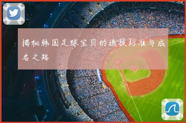 揭秘韩国足球宝贝的选拔标准与成名之路